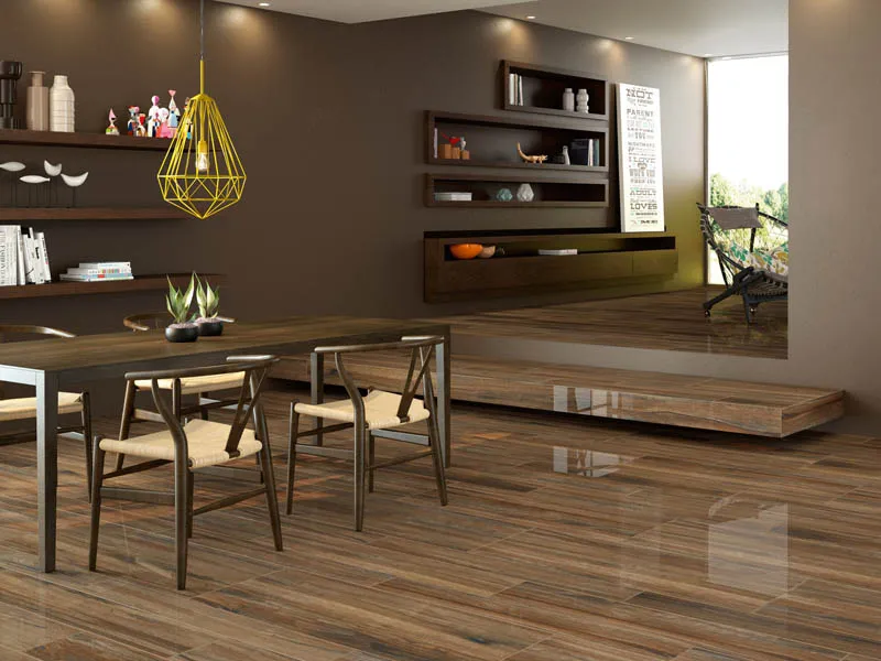 Керамогранит CEYLAN от производителя Fanal –  фото