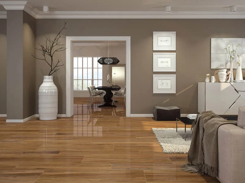 Керамогранит CEYLAN от производителя Fanal –  фото