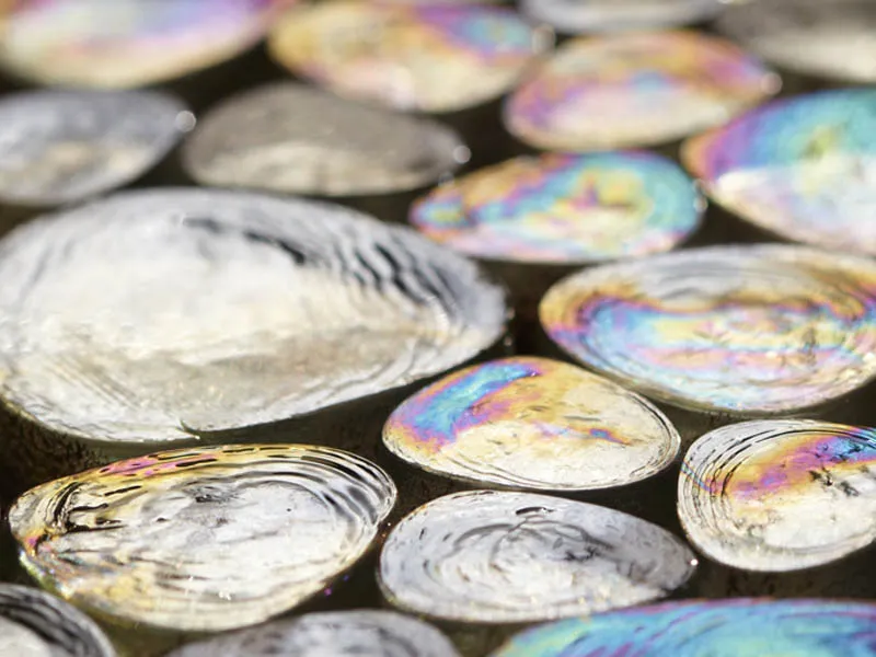 Мозаика DROPS от производителя Art&Natura –  фото