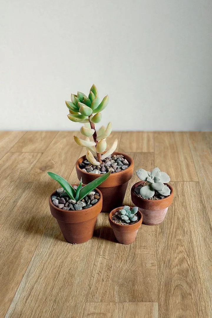 Керамогранит WOODGLAM от производителя Ragno Marazzi –  фото