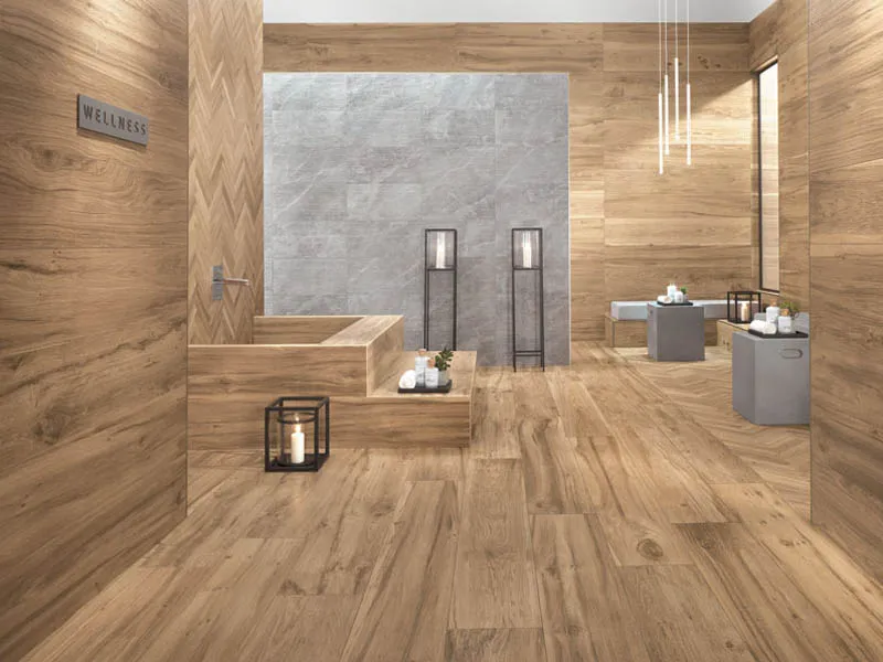 Керамогранит ETIC PRO от производителя Atlas Concorde (Italy) –  фото