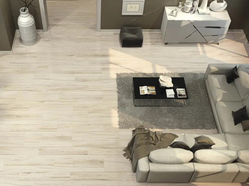 Керамогранит CEYLAN от производителя Fanal –  фото