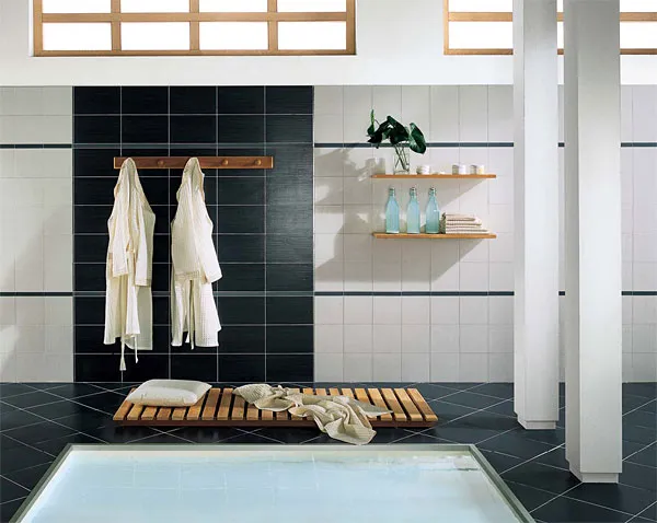 Керамическая плитка EVOLUZIONE от производителя Iris Ceramica –  фото