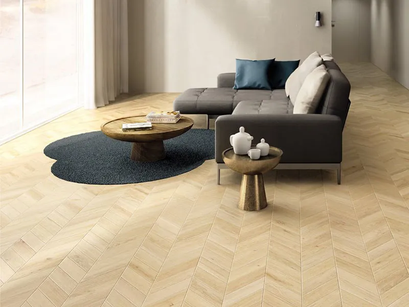 Керамогранит NATUREL от производителя Edimax –  фото