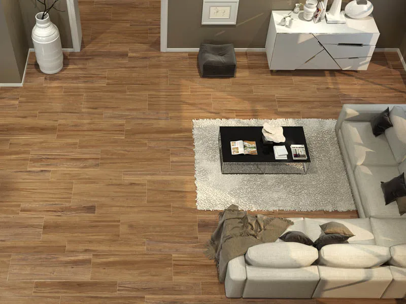 Керамогранит CEYLAN от производителя Fanal –  фото