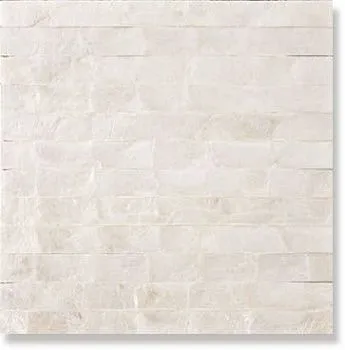 Мозаика Shell  CS-003