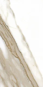 Керамогранит Calacatta NPlus 60х120