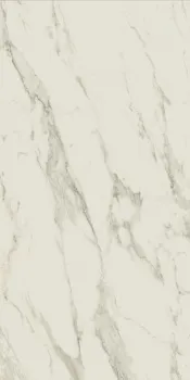 Керамогранит Empire Arabescato (610010002183) 60х120