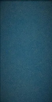 Настенная плитка 600010002177 Drift Blu 40х80