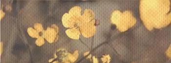 Декор STG\A388\15050 Ньюпорт лютик (8мм)