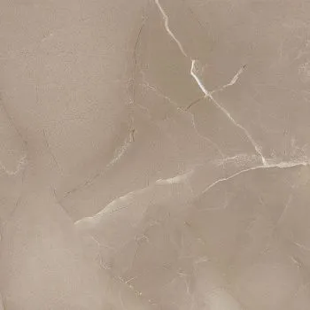 Керамогранит PASSION LUX 60 TAUPE (78796621)