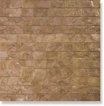 Мозаика Shell  CS-004