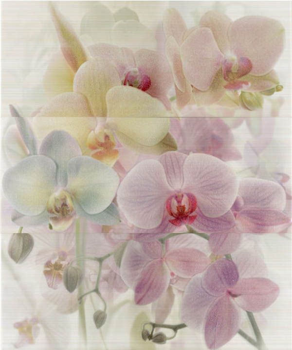 Плитка Для Ванной Орхидеи Фото