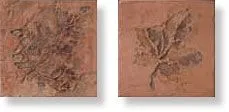 Декор INSERTO FOSSILI FOGLIE TERRA (2 pz.)