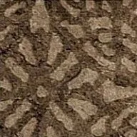 Вставка Shape Chestnut Tozzetto Texture