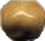 Спец. элемент Angulo Tarpan Gold