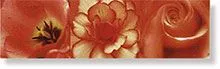 Бордюр CHA. FIORI RED BORDO 3820