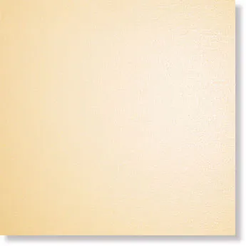 717206 Керамогранит OASI SALMONE