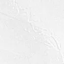 Настенная плитка 11029 Уэльс светло-серый