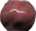 Спец. элемент Angulo Tarpan Borgona