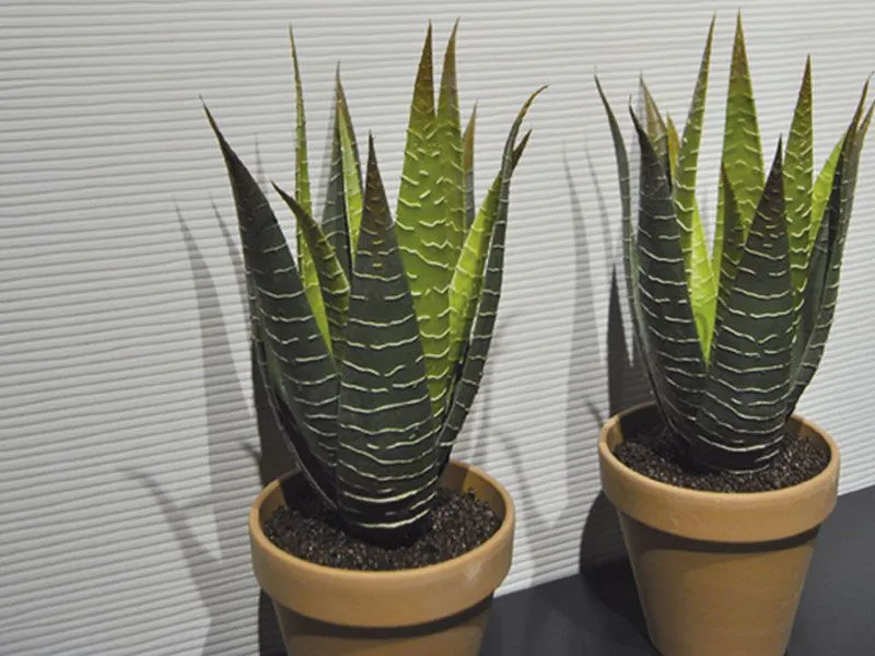 Керамическая плитка SILEXTILE от производителя Emigres –  фото