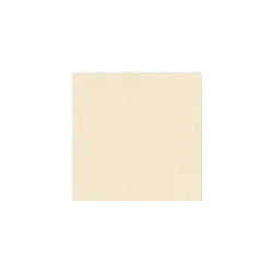 Вставка Т1565 TOZZETT CHAMPAG