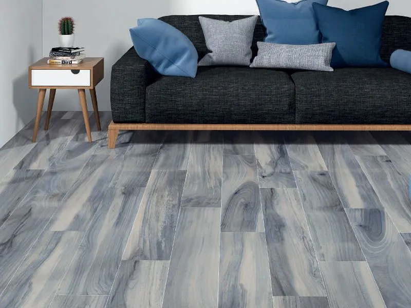 Керамогранит TASMANIA от производителя Ecoceramic –  фото