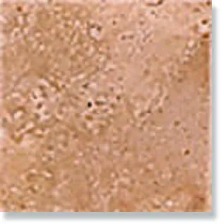 Вставка Bottone Marmo Scabos