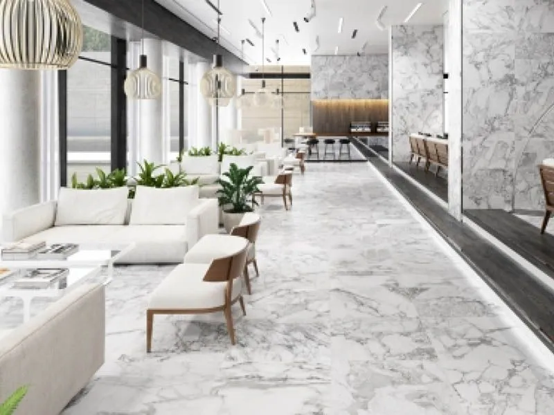 Керамогранит ASCOT от производителя Argenta –  фото