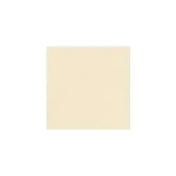 Вставка 1305 TOZZ CHAMPAG MATT