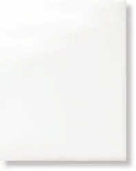 Настенная плитка Ricordi Bianco Lucido fondo