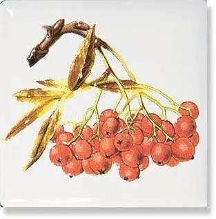 Декор A1898/1236 Рябина