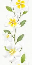 Декор Frangipani 1 DW9FRG100