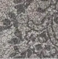 Вставка TODIAL Tozzetto DIVINA ALLUMINIO Lapp.Rett.