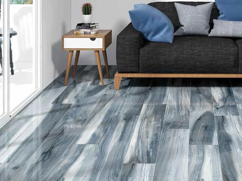 Керамогранит TASMANIA от производителя Ecoceramic –  фото