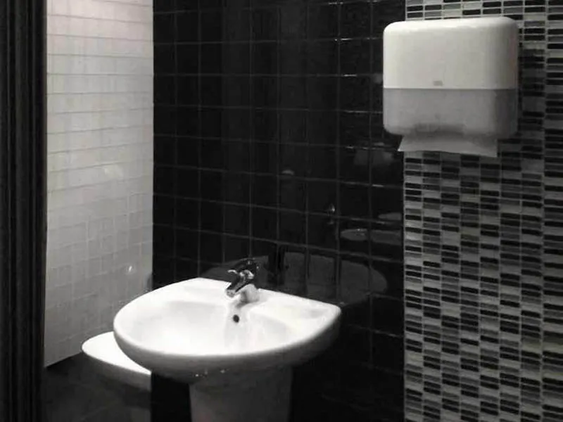 Мозаика COLOR PALETTE от производителя Natural Mosaic –  фото