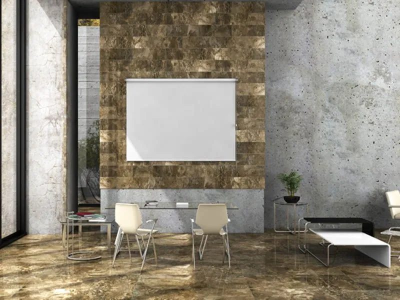 Керамогранит FOSSIL от производителя Seranit –  фото