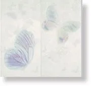 Декор Decor Silk 2 pz