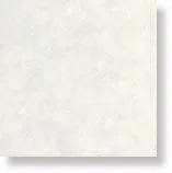 Напольная плитка GARDENS SHALIMAR PAV/RETT.