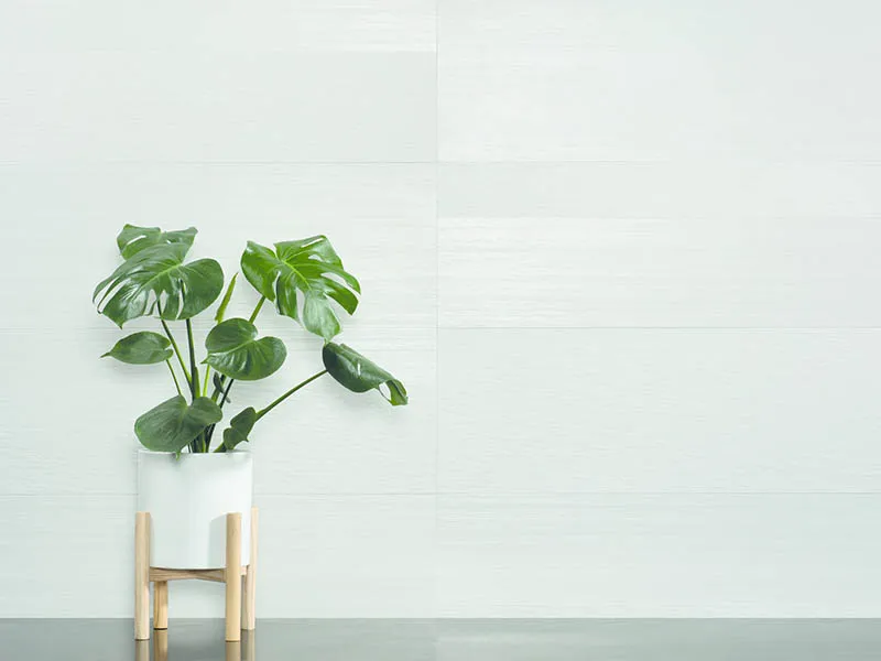 Керамогранит STONEWOOD от производителя Harmony –  фото