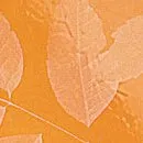 Настенная плитка 11032 Уэльс рыжий