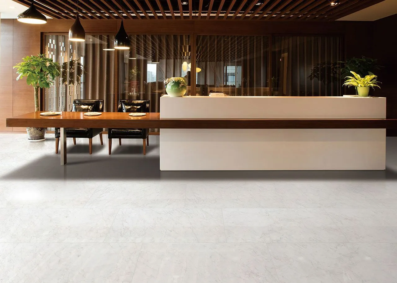  CARRARA BIANCO от производителя NT Ceramic –  фото