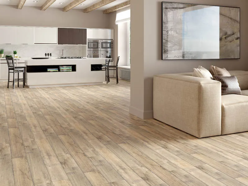 Керамогранит RUSTIC от производителя Mei –  фото