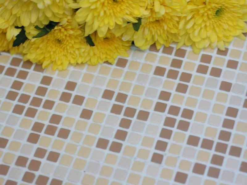 Мозаика CARAMEL от производителя Irida –  фото