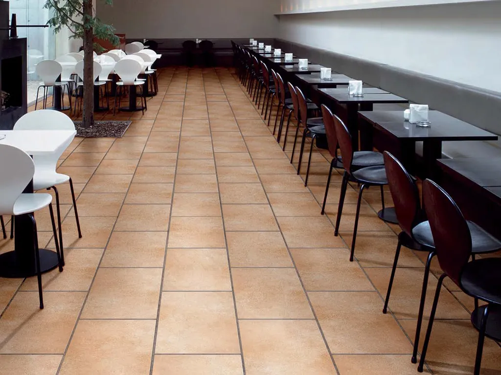 Ступени VEGA от производителя Exagres –  фото