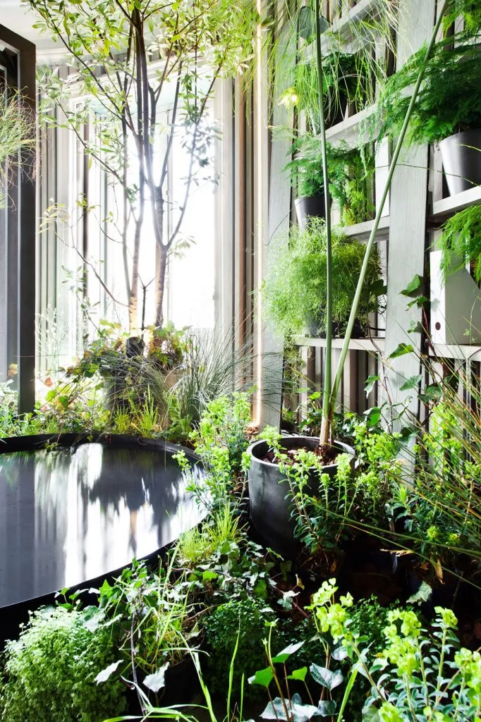 На фото зимний сад "Biblioteca en el bosque", проект Pia Paisajismo