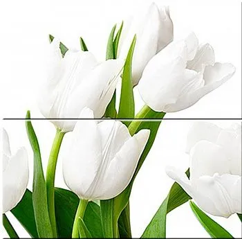 Панно Элара Верде Триумф