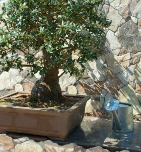 Керамогранит TAPIA от производителя Oset –  фото