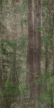 Керамогранит W&S D+ WOODS C (PF60009509)