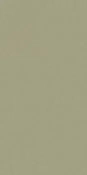 Керамогранит RAINBOW RW061 Непол.Рект 120